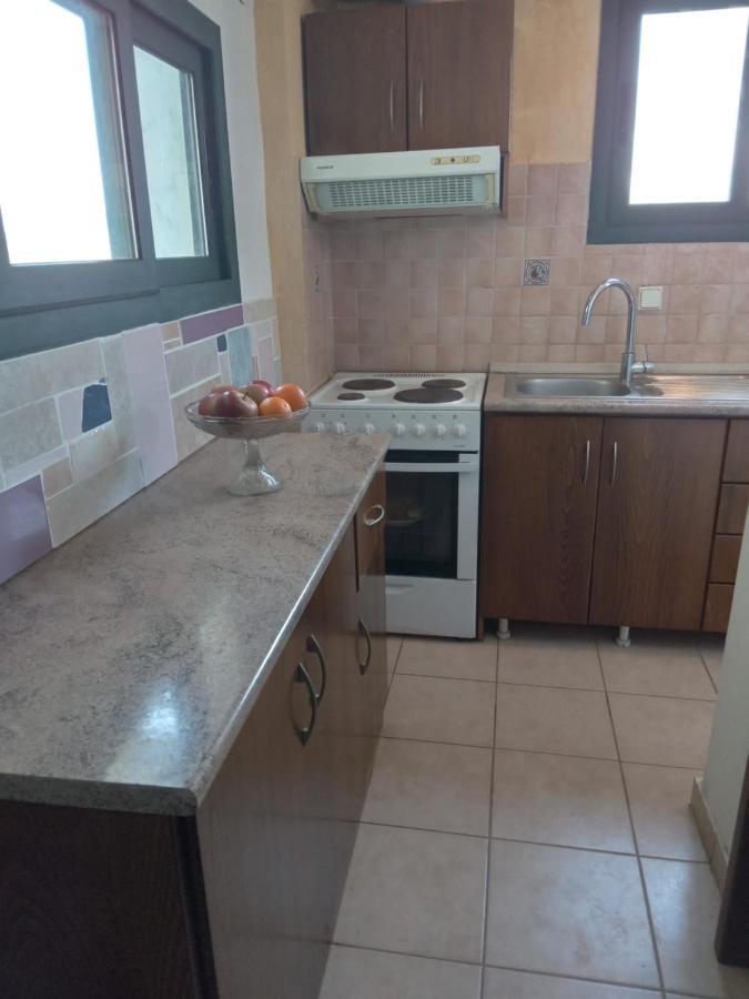 The White Rabbit Guesthouse Eco-Lodge "Cosy Apartment" Psakoudia Exteriör bild