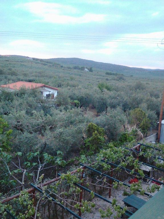 The White Rabbit Guesthouse Eco-Lodge "Cosy Apartment" Psakoudia Exteriör bild